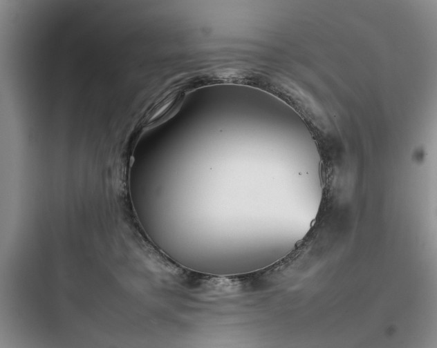 X0000097900421200803211446