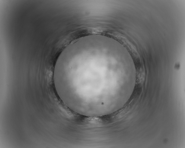 X0000097900427200803211446