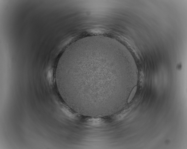 X0000097900428200803211446
