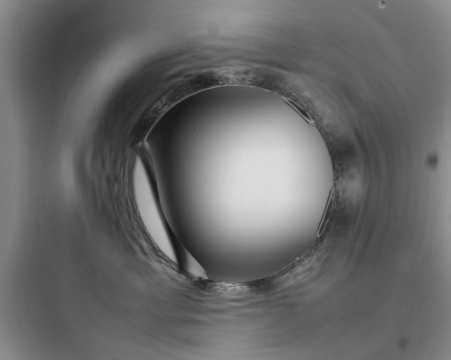 X0000097900429200803211446