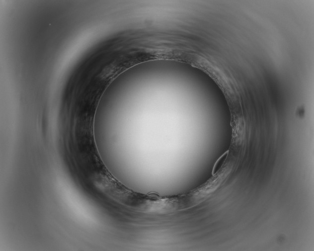 X0000097900430200803211446