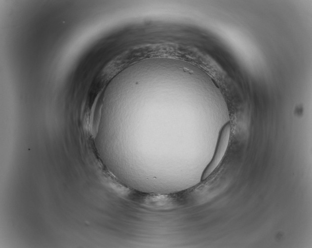 X0000097900431200803211446