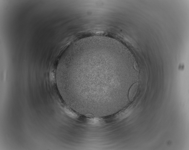X0000097900432200803211446