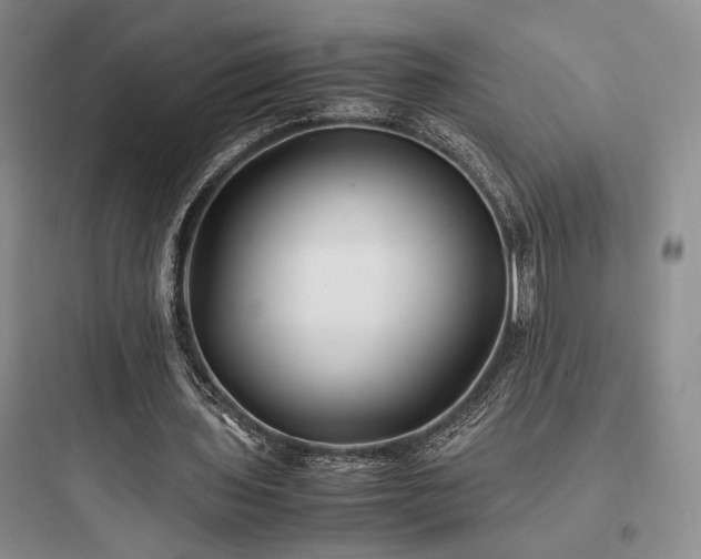 X0000097900435200803211445