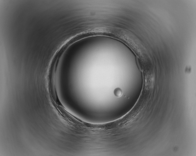 X0000097900436200803211445
