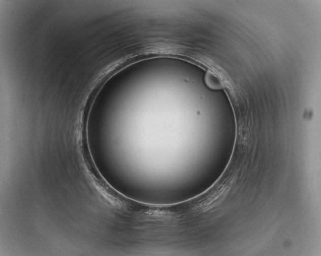 X0000097900437200803211445