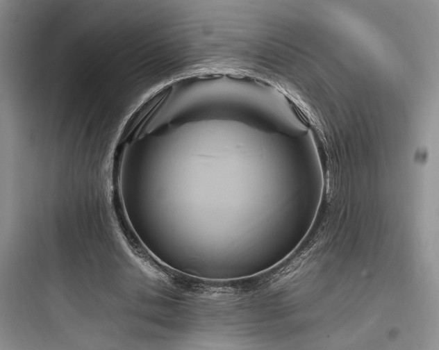 X0000097900438200803211445