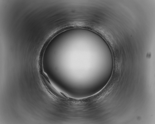 X0000097900439200803211445