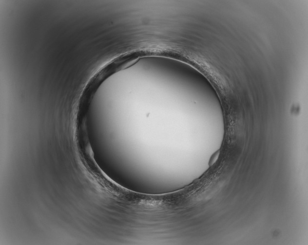 X0000097900440200803211445