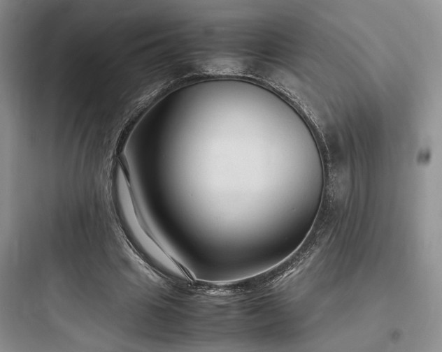 X0000097900441200803211445