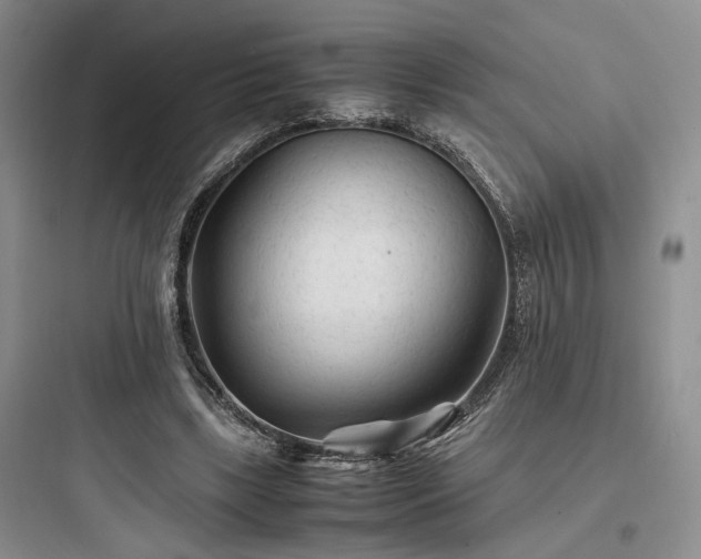 X0000097900443200803211445