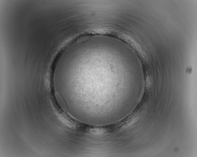 X0000097900444200803211445