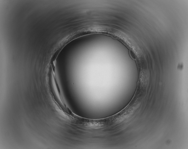 X0000097900445200803211445