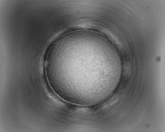 X0000097900446200803211445