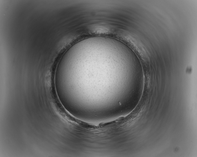 X0000097900447200803211445