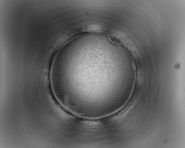 X0000097900449200803211445