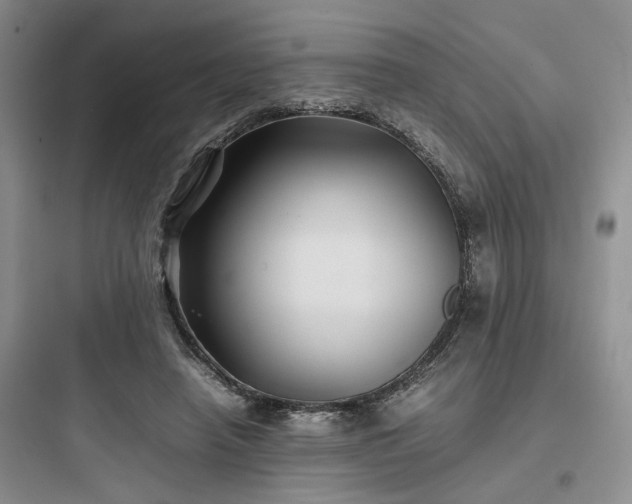 X0000097900450200803211445
