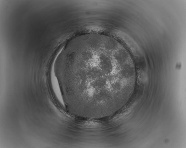 X0000097900451200803211445