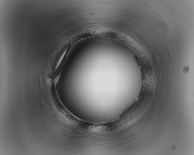 X0000097900452200803211445
