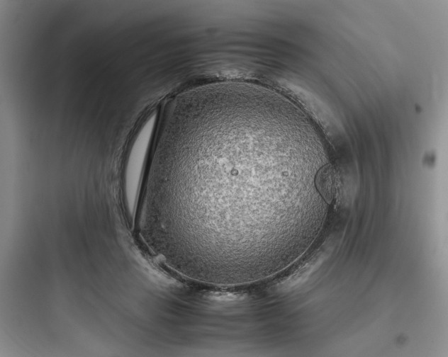 X0000097900453200803211445