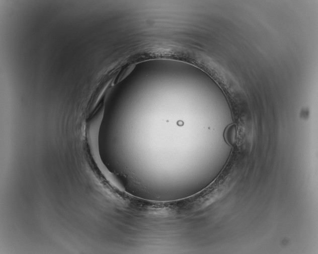 X0000097900454200803211445