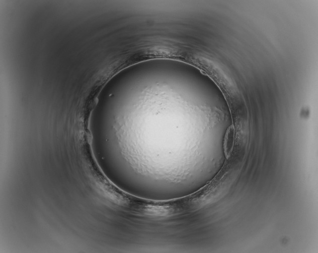X0000097900457200803211445