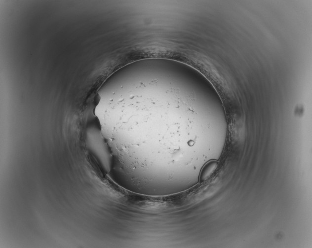 X0000097900458200803211445