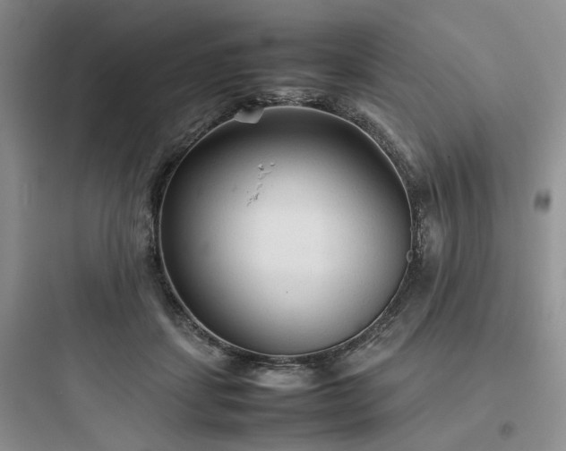 X0000097900459200803211445