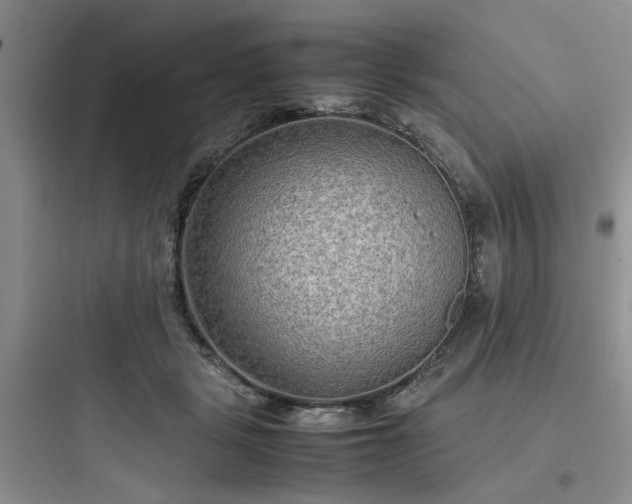 X0000097900461200803211445