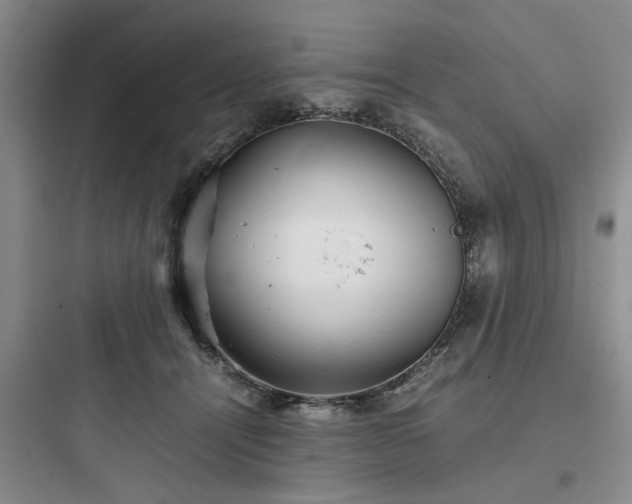 X0000097900464200803211445