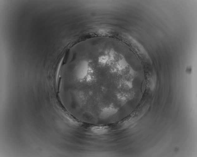 X0000097900465200803211445