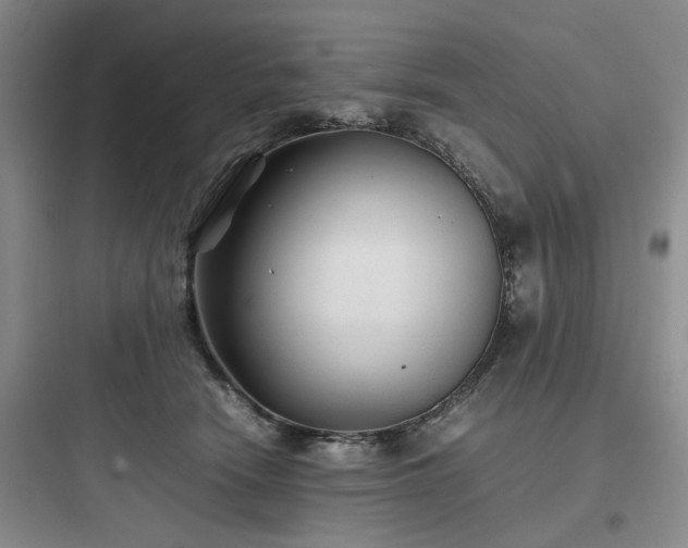 X0000097900466200803211445