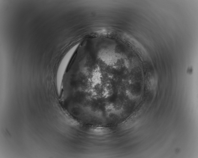 X0000097900467200803211445