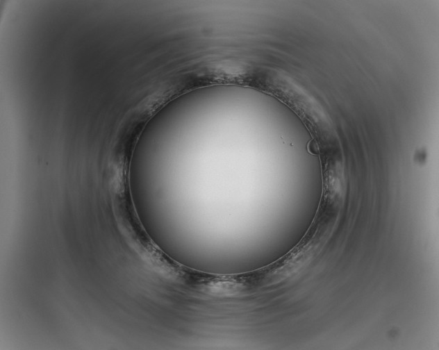 X0000097900468200803211445
