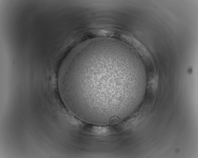X0000097900469200803211445
