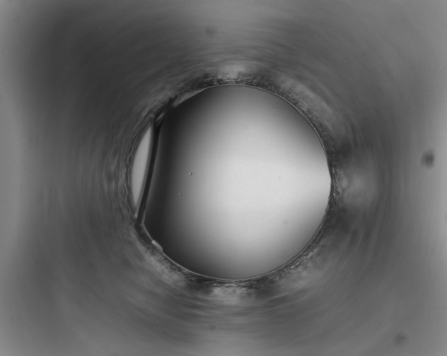 X0000097900470200803211445