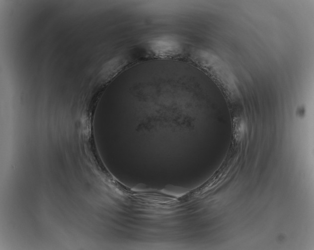 X0000097900471200803211445