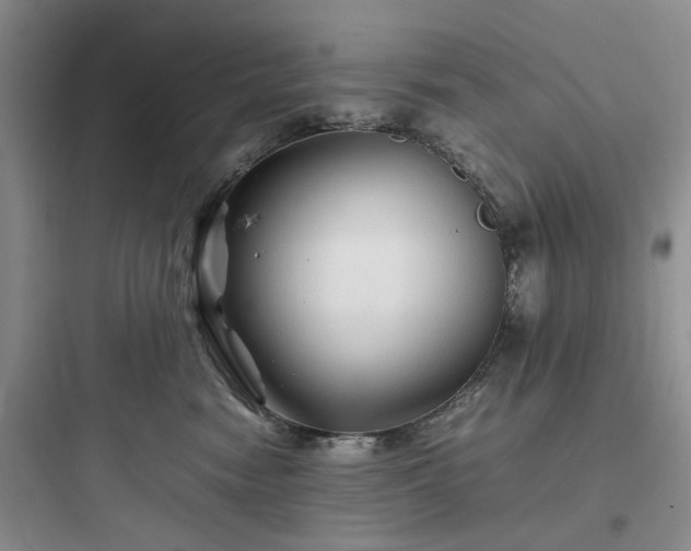 X0000097900474200803211446