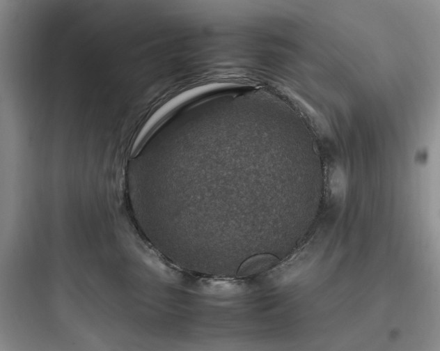 X0000097900475200803211446
