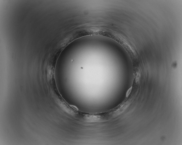 X0000097900476200803211446