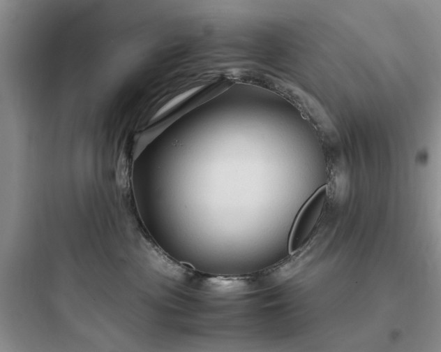 X0000097900477200803211446