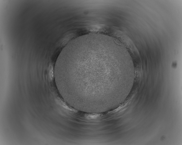 X0000097900479200803211446