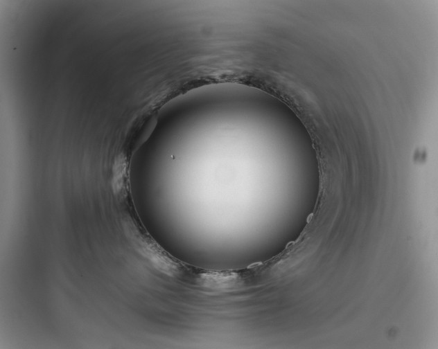X0000097900480200803211446