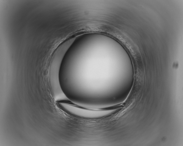 X0000097900481200803211445