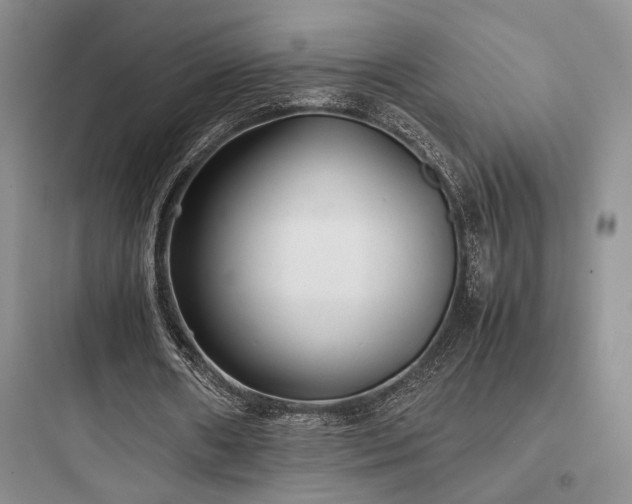 X0000097900482200803211445