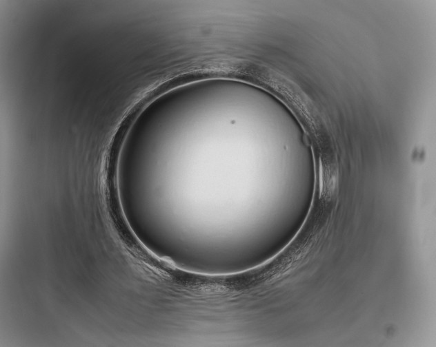 X0000097900483200803211445