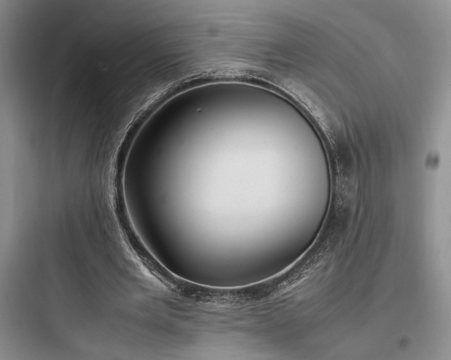 X0000097900485200803211445