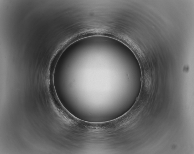 X0000097900486200803211445