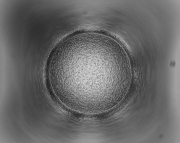 X0000097900487200803211445