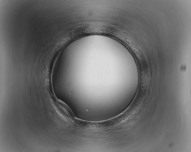 X0000097900489200803211445